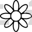 blossom