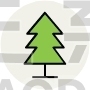 Pine