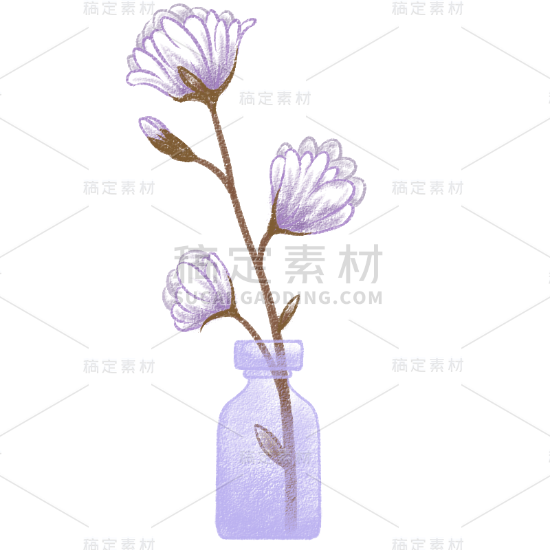 手绘-粉笔画花卉植物元素6