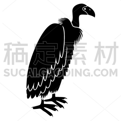 Vulture