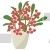Euphorbia Milii Plant