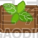 Basil