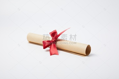 教育系列写实风蝴蝶结卷纸