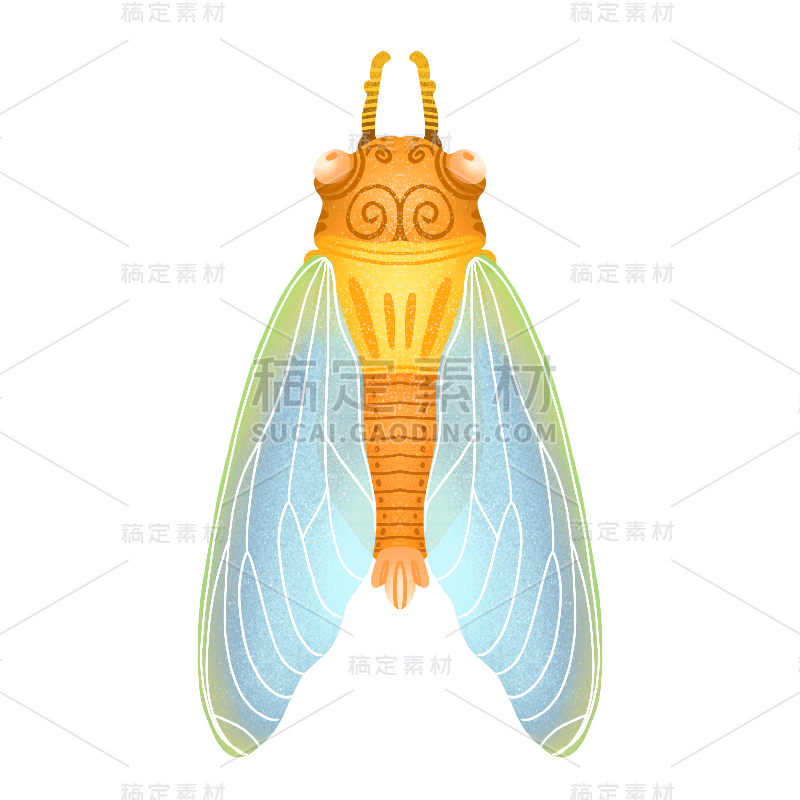 彩色手绘肌理-昆虫元素贴纸-蝉