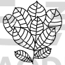 Flower Design