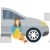 Car Owner