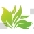 Leaves Design