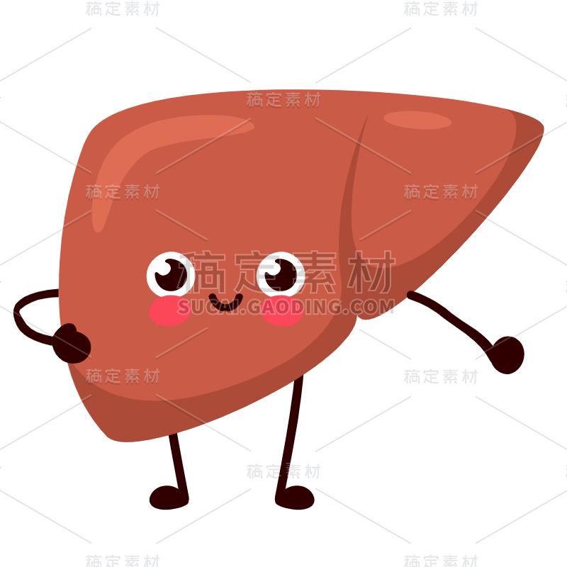 手绘-人体器官医疗元素贴纸-肝