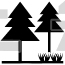 Pine Trees