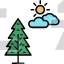 Pine Tree