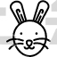 rabbit