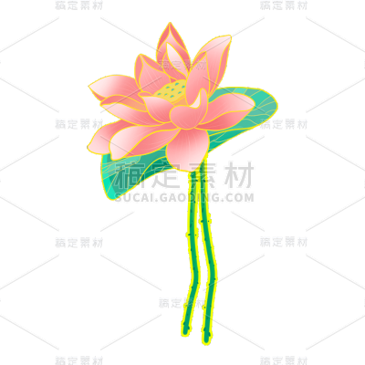 中国风-植物元素-荷花