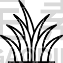 Grass