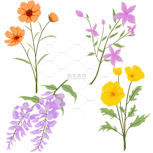 手绘水彩植物花卉元素2