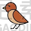 plover