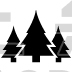 pine trees