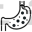 Stomach
