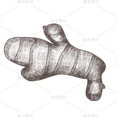 手绘素描干姜元素