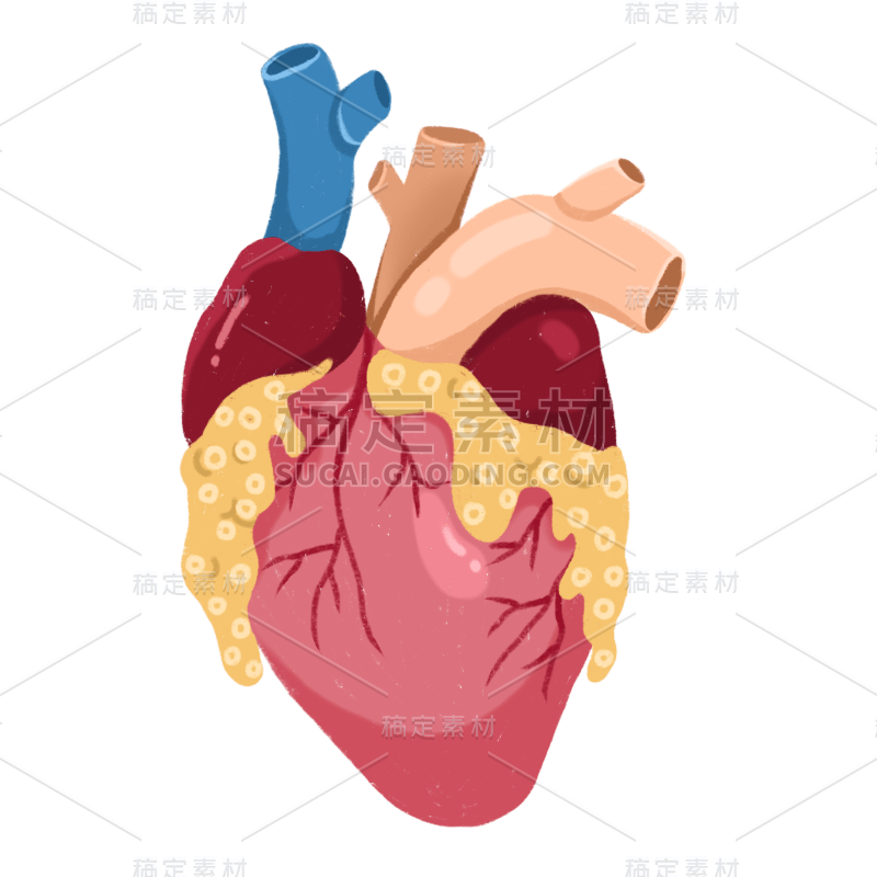 手绘-器官元素医疗贴纸-心脏2