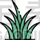 Grass