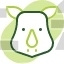 rhino