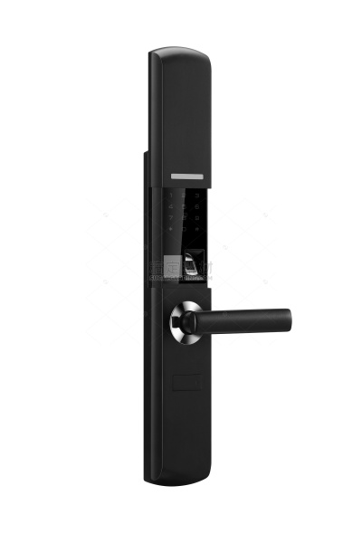 CWJ-335A0309