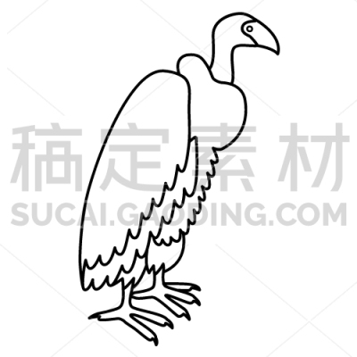 Vulture