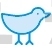 Sparrow