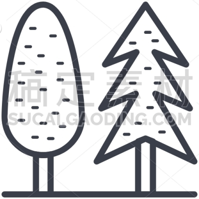 Evergreen Trees