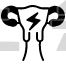Menstruation