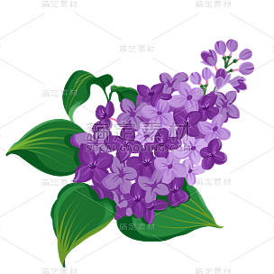 手绘-清新花卉植物元素贴纸2