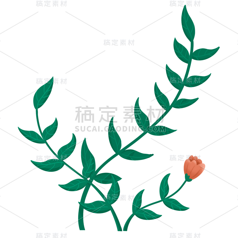 手绘风-植物元素-藤蔓