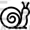 Snail