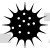 Puffer Fish