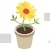 Pot Plant
