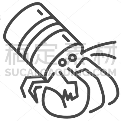 Hermit Crab