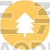 Pine