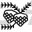 Pine