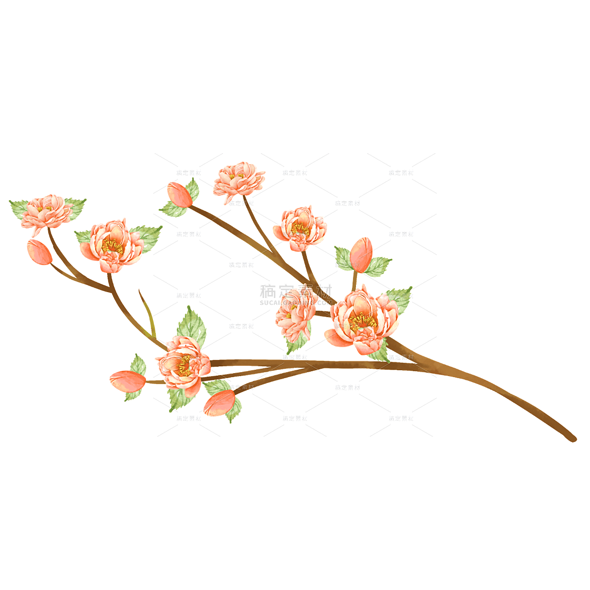 手绘粉色牡丹花花卉植物元素