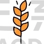 Wheat