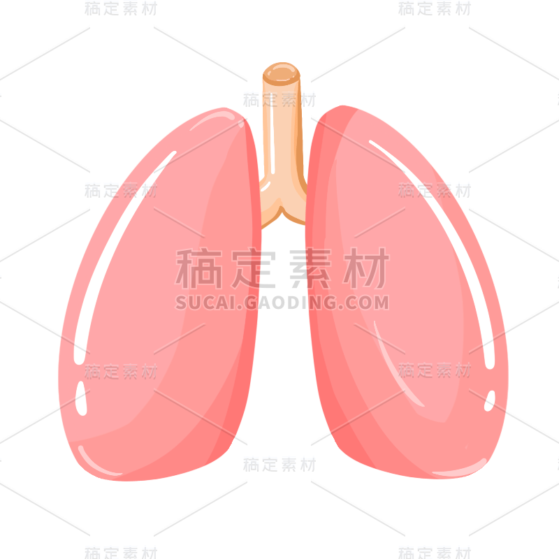 手绘-人体器官元素医疗贴纸26