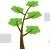 Scots Pine
