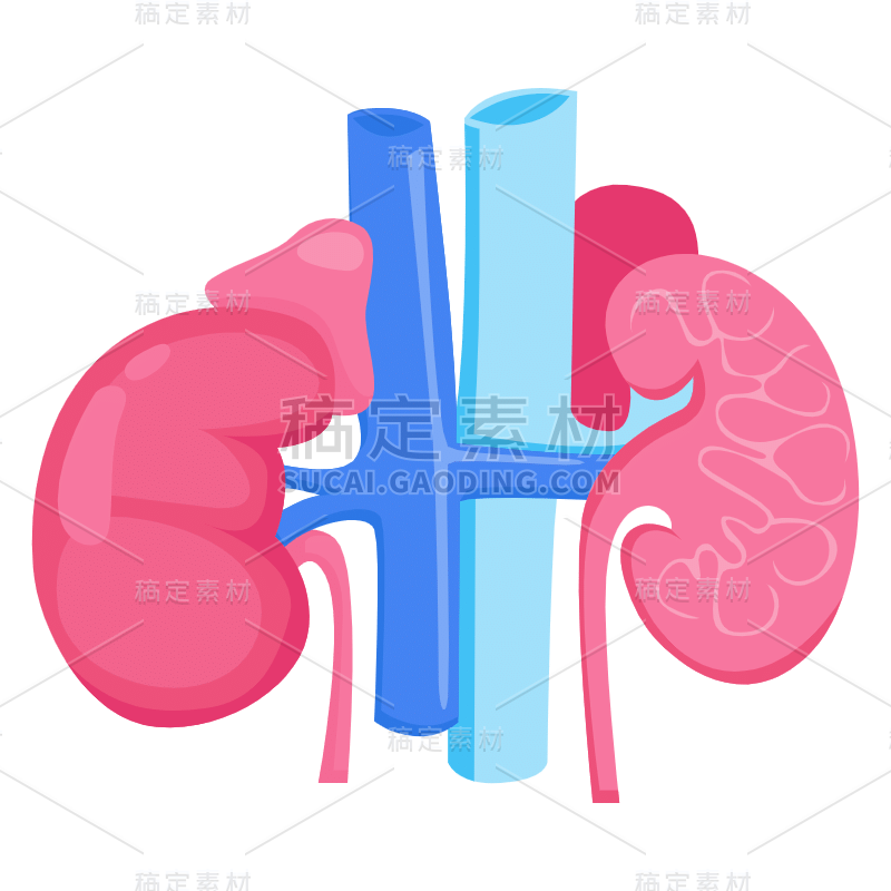 手绘-人体器官医疗元素贴纸38