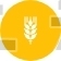 Wheat