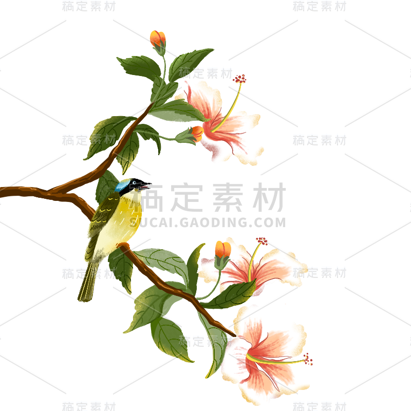 工笔画中国风花鸟组合5