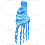 手绘-科技风人体骨骼医疗元素贴纸7