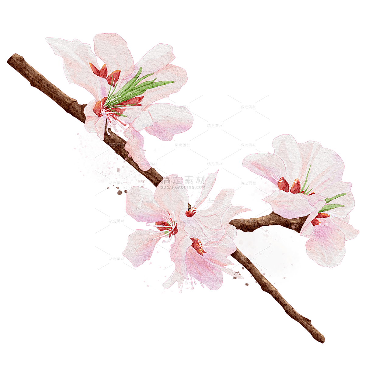 手绘粉色桃花花卉元素