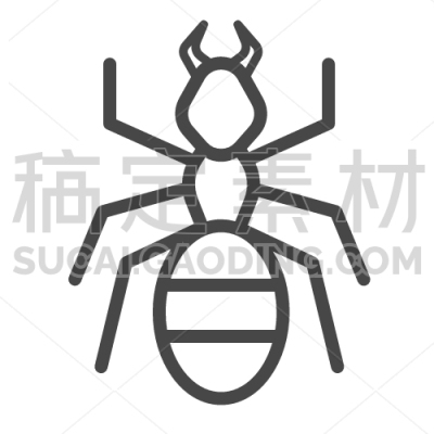 Ant