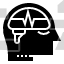 Epilepsy Brain