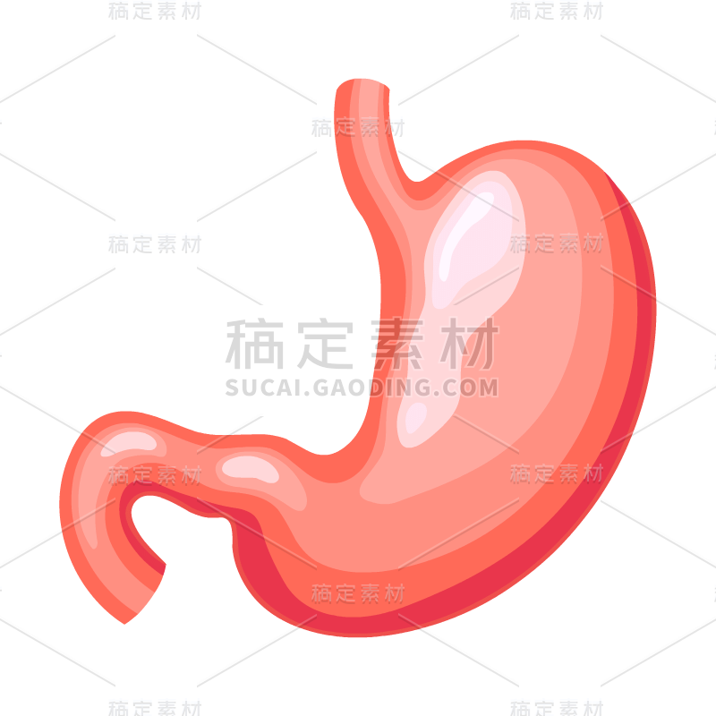 身体器官贴纸1